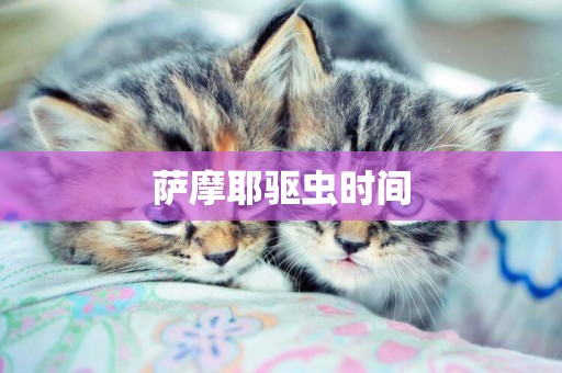 薩摩耶驅蟲時間