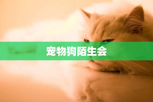寵物狗陌生會