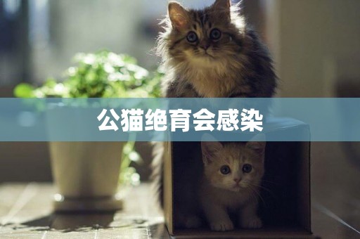 公貓絕育會感染