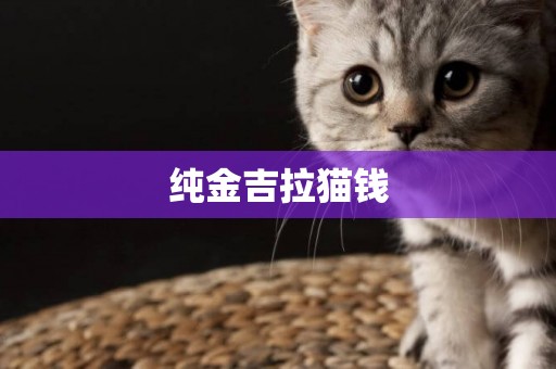 純金吉拉貓錢