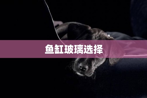魚缸玻璃選擇