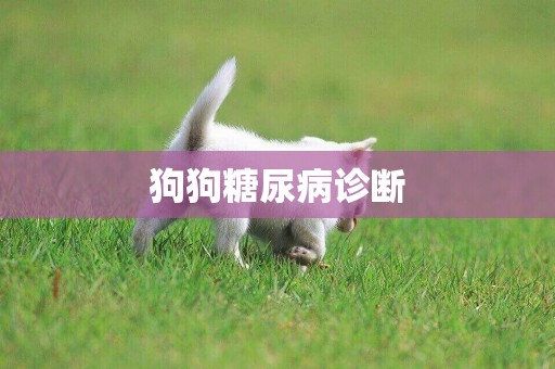 狗狗糖尿病診斷