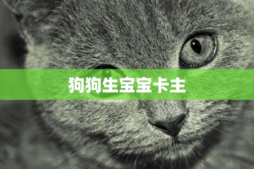 狗狗生寶寶卡主