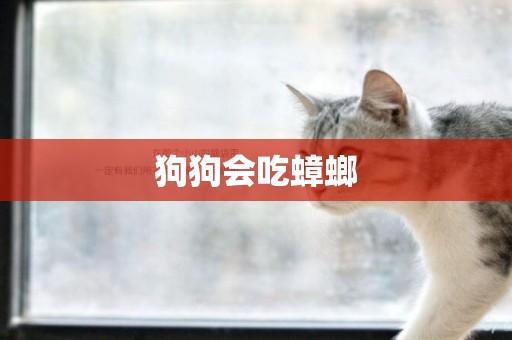 狗狗會吃蟑螂