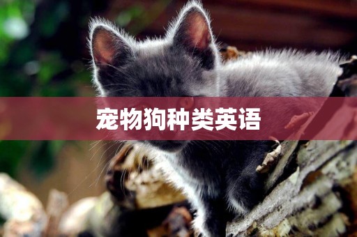 寵物狗種類英語