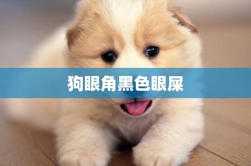 狗眼角黑色眼屎