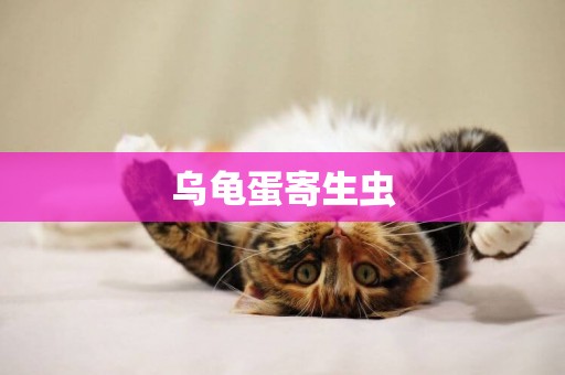 烏龜蛋寄生蟲