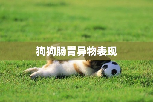 狗狗腸胃異物表現