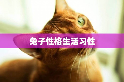 兔子性格生活習性