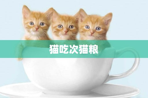 貓吃次貓糧