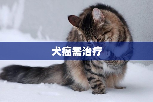 犬瘟需治療