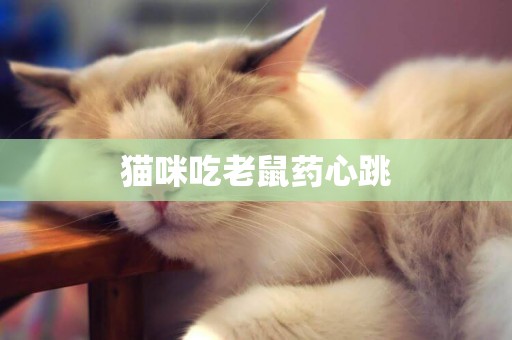 貓咪吃老鼠藥心跳