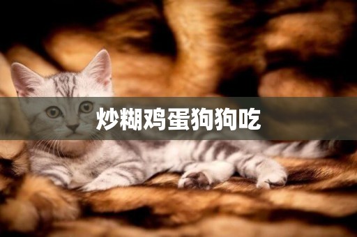 炒糊雞蛋狗狗吃