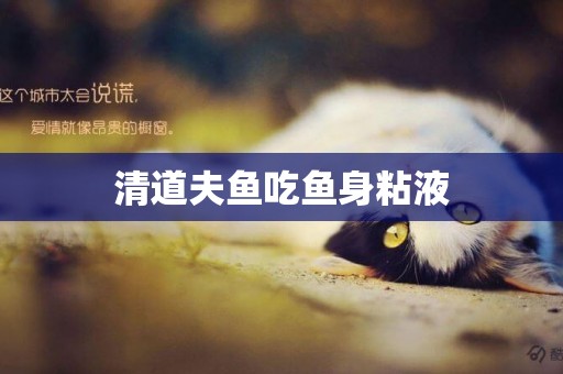 清道夫魚吃魚身粘液