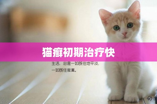 貓癬初期治療快