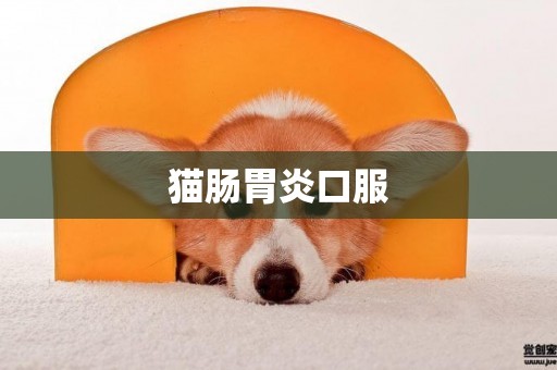 貓腸胃炎口服