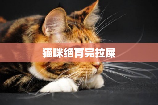 貓咪絕育完拉屎