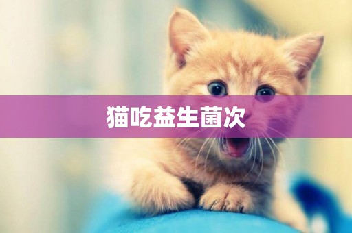貓吃益生菌次