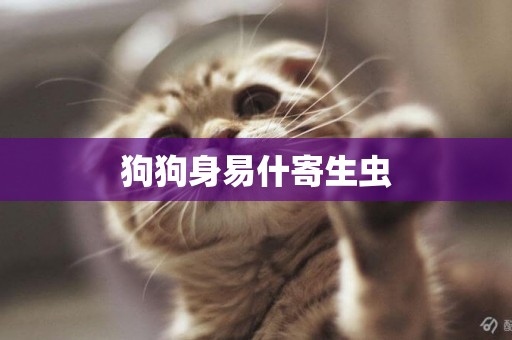 狗狗身易什寄生蟲