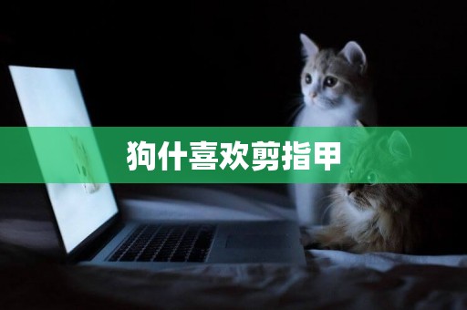 狗什喜歡剪指甲