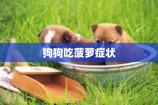 狗狗吃菠蘿癥狀