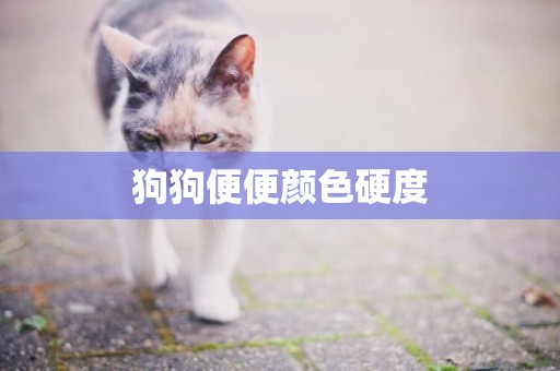 狗狗便便顏色硬度