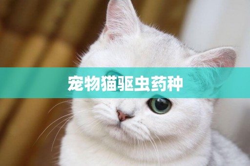 寵物貓驅蟲藥種