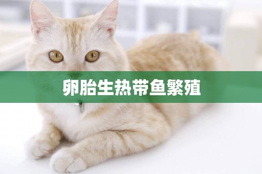 卵胎生熱帶魚繁殖