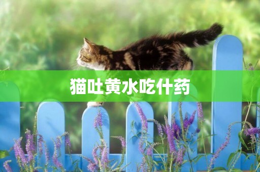 貓吐黃水吃什藥