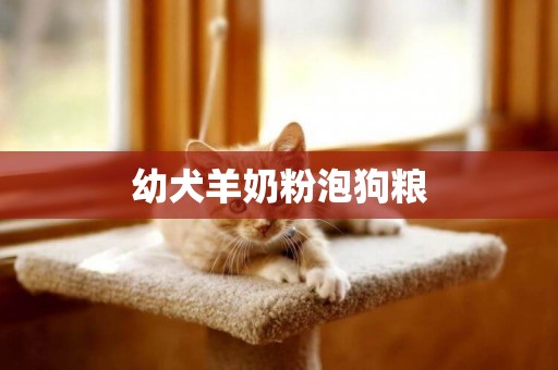幼犬羊奶粉泡狗糧