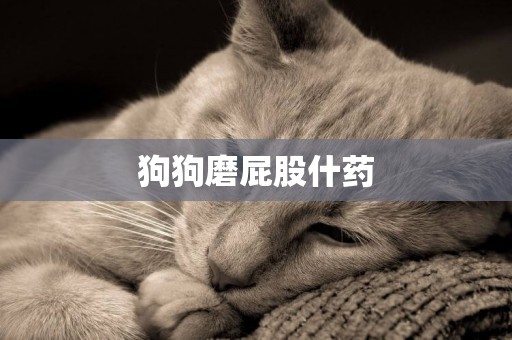 狗狗磨屁股什藥