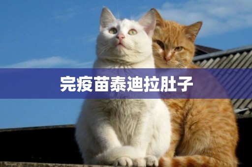 完疫苗泰迪拉肚子