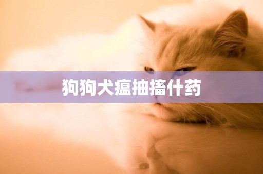 狗狗犬瘟抽搐什藥