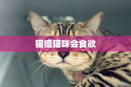 貓瘟貓咪會食欲