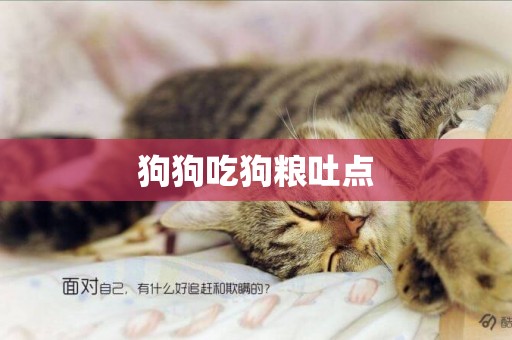 狗狗吃狗糧吐點