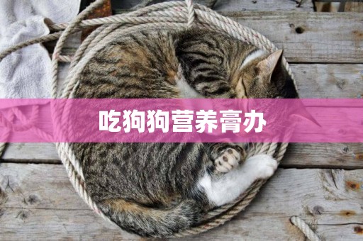 吃狗狗營養膏辦