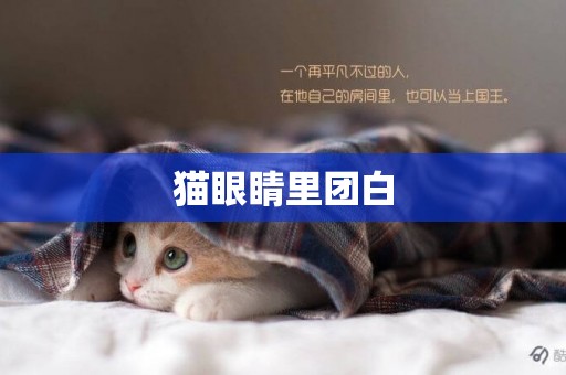貓眼睛里團白