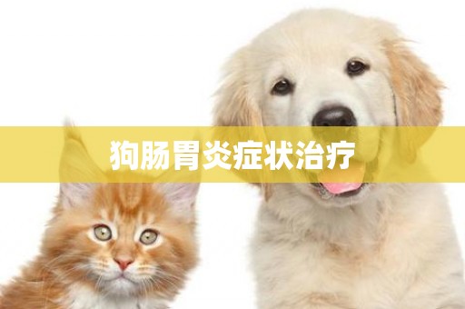狗腸胃炎癥狀治療