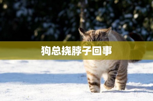 狗總撓脖子回事