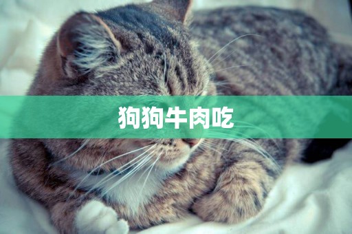 狗狗牛肉吃