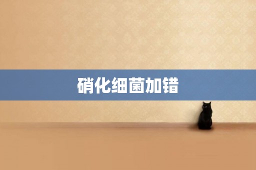 硝化細菌加錯