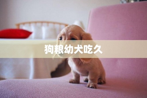 狗糧幼犬吃久