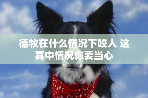 德牧在什么情況下咬人 這其中情況你要當心