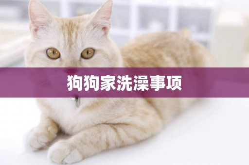狗狗家洗澡事項