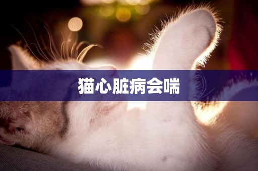 貓心臟病會喘