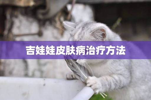 吉娃娃皮膚病治療方法