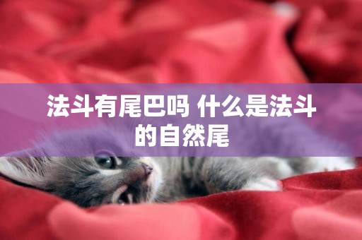 法斗有尾巴嗎 什么是法斗的自然尾