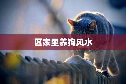 區家里養狗風水