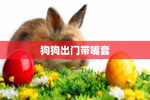 狗狗出門帶嘴套