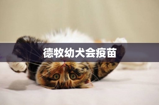 德牧幼犬會疫苗